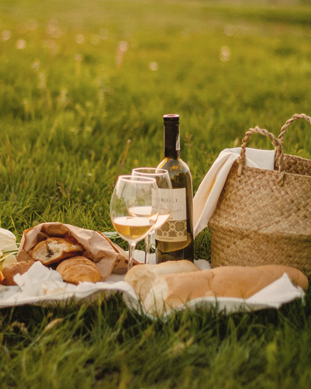 Picnic Spread on the Grass