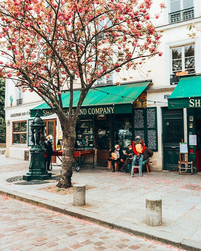 Bookstore in the City