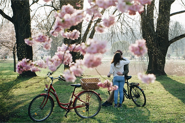 Couple with bicycles underneath flowering trees