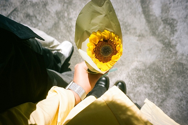 Woman holding sunflower